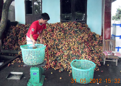 Phù Cừ Hưng Yên  Hướng tới xây dựng thương hiệu vải lai u